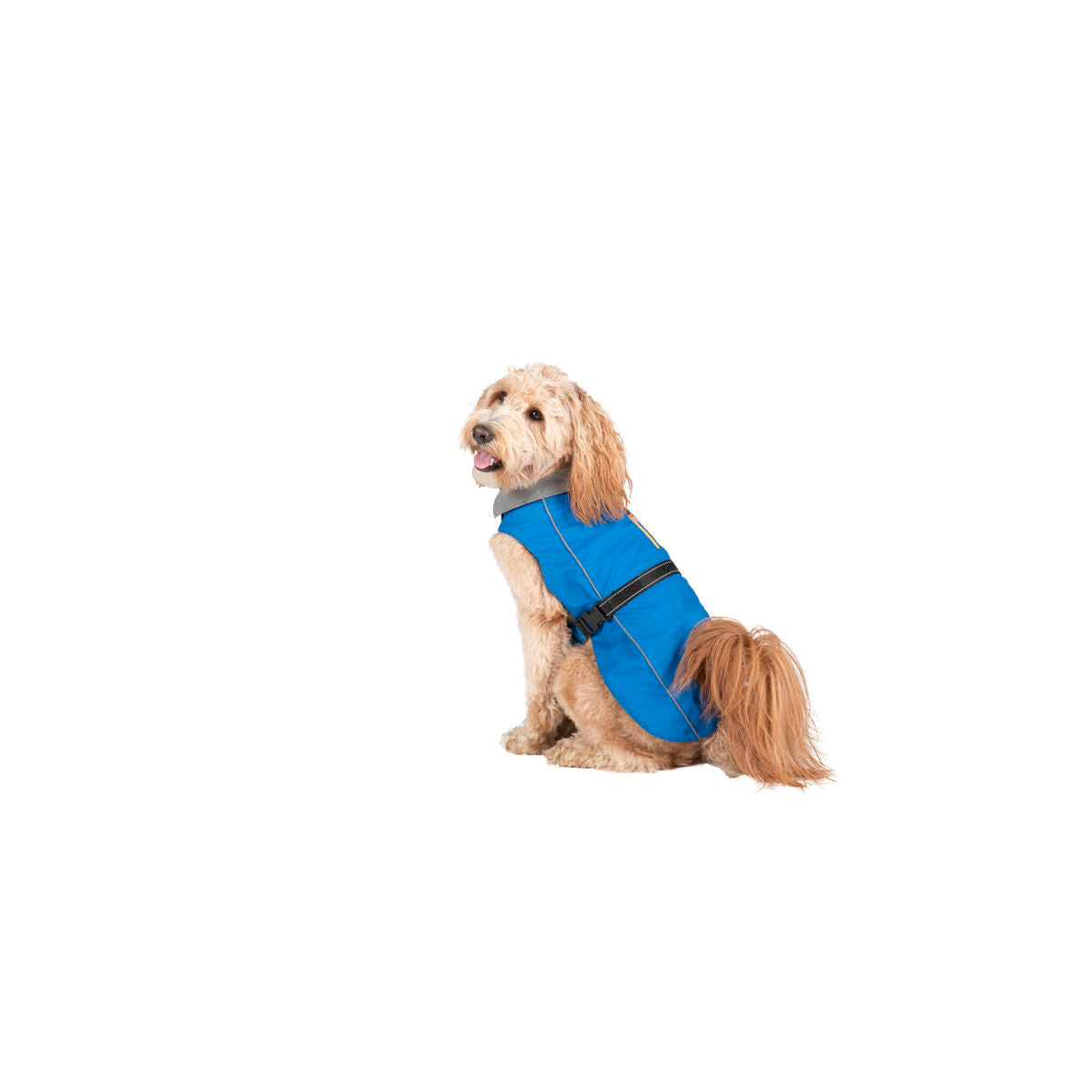 Dog raincoat Dog Gone Smart Blue 40 cm Dog Gone Smart