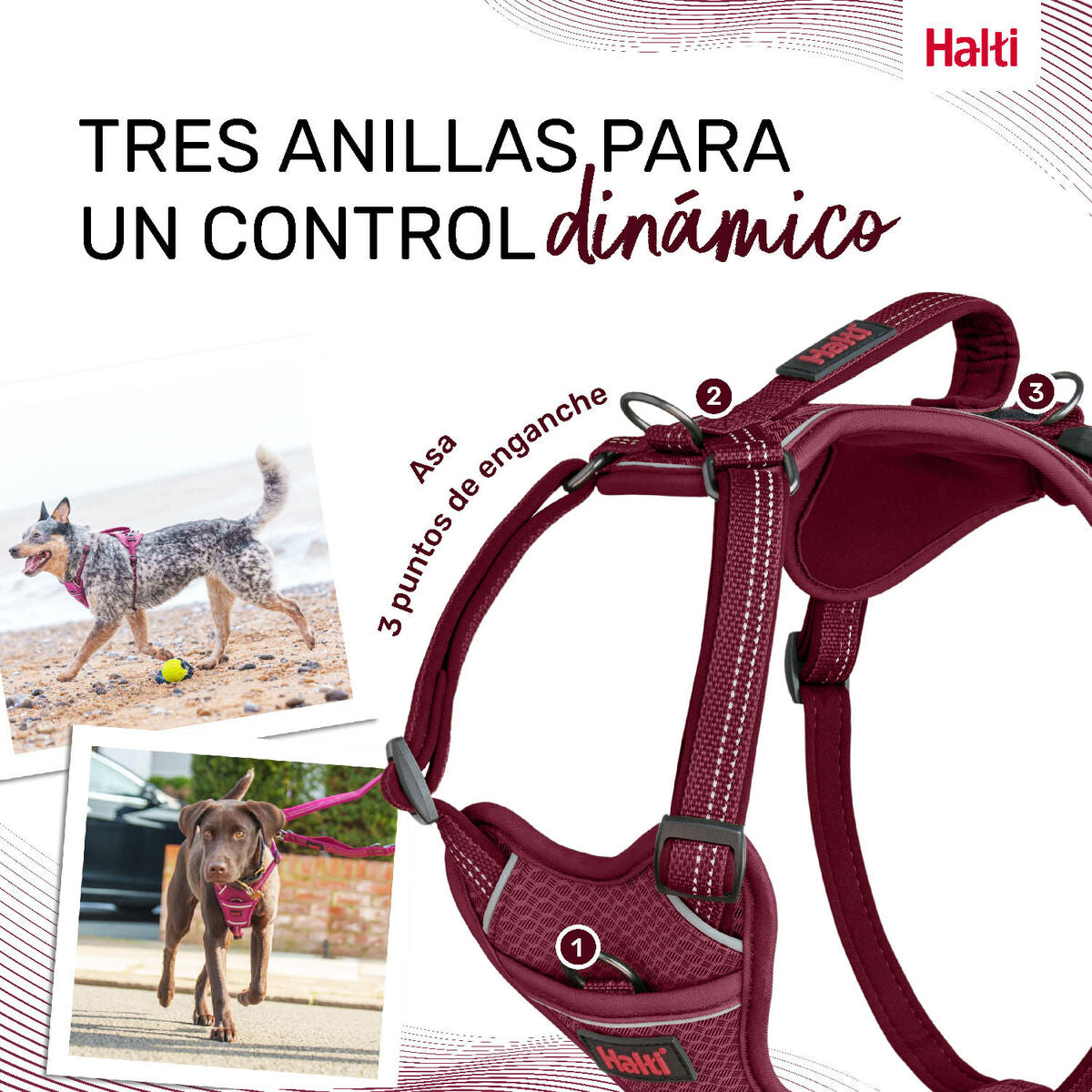 Dog Harness Company of Animals Burgundy M 35-55 cm Company of Animals