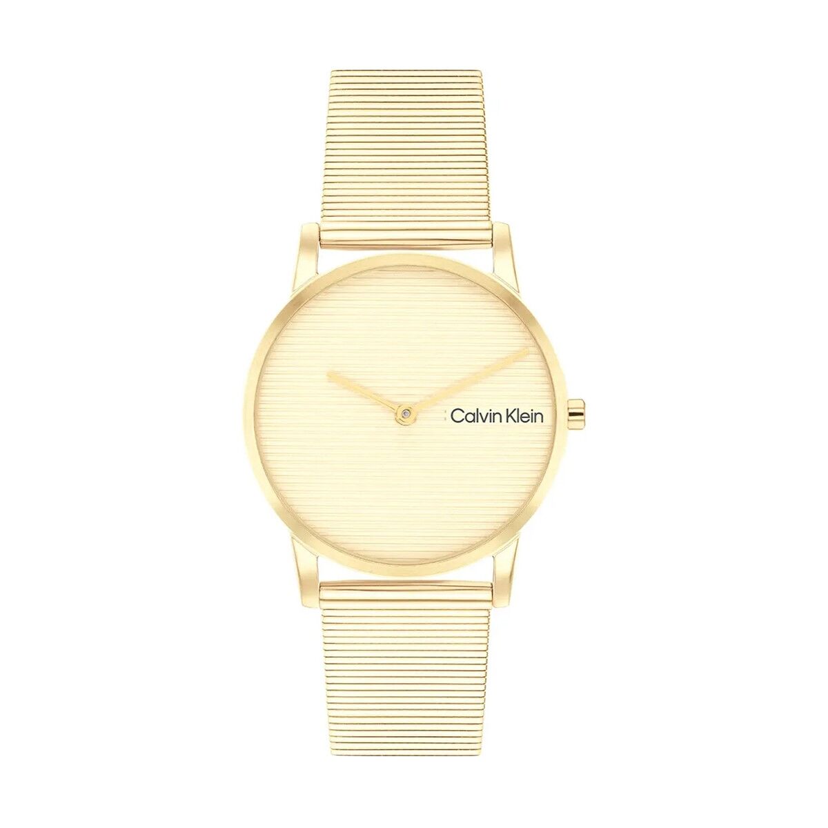 Men's Watch Calvin Klein 25100035 Calvin Klein