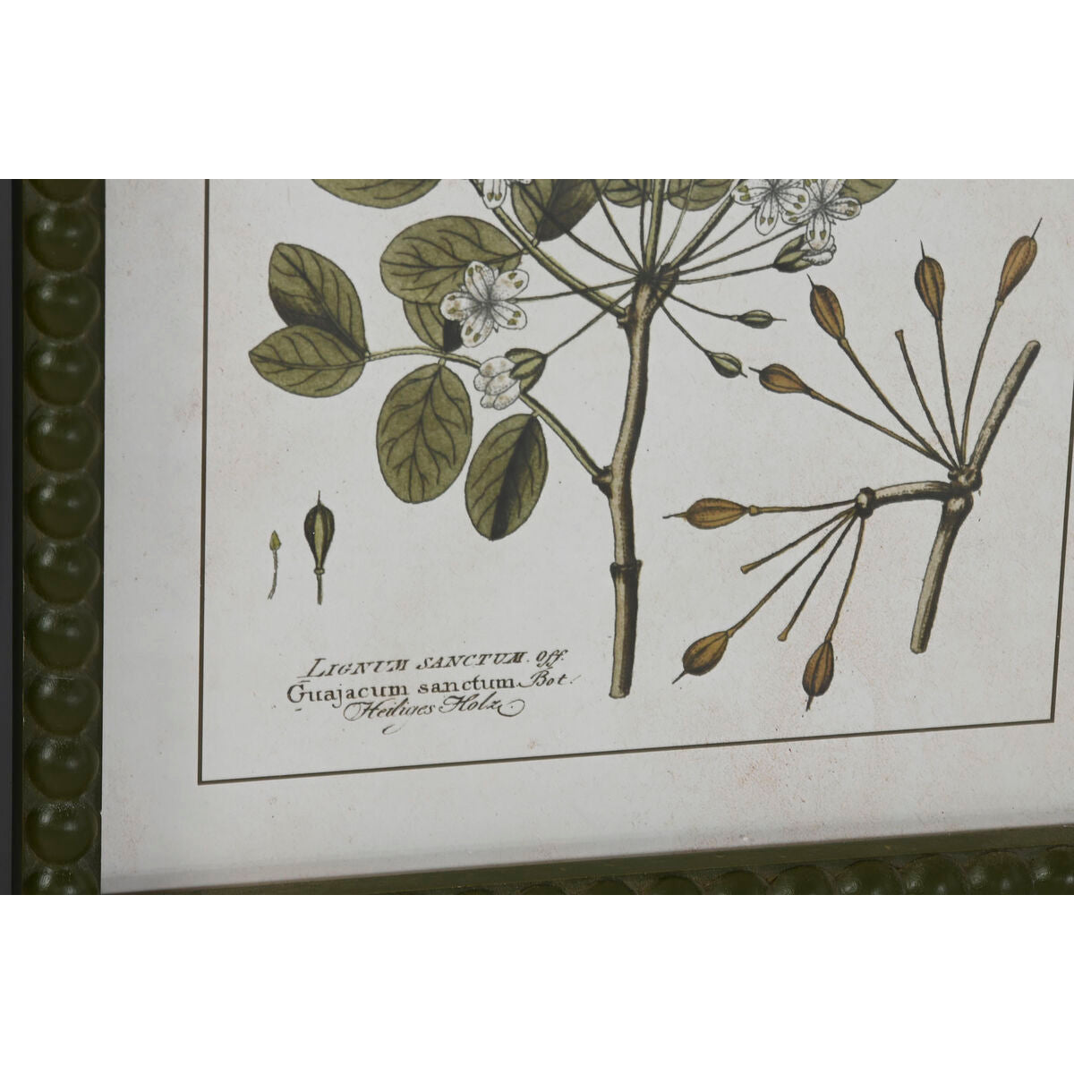 Painting Home ESPRIT Green Beige Shabby Chic Botanical plants 30 x 2,5 x 40 cm (4 Units)