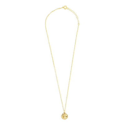 Ladies' Necklace Radiant RY000048 50 cm