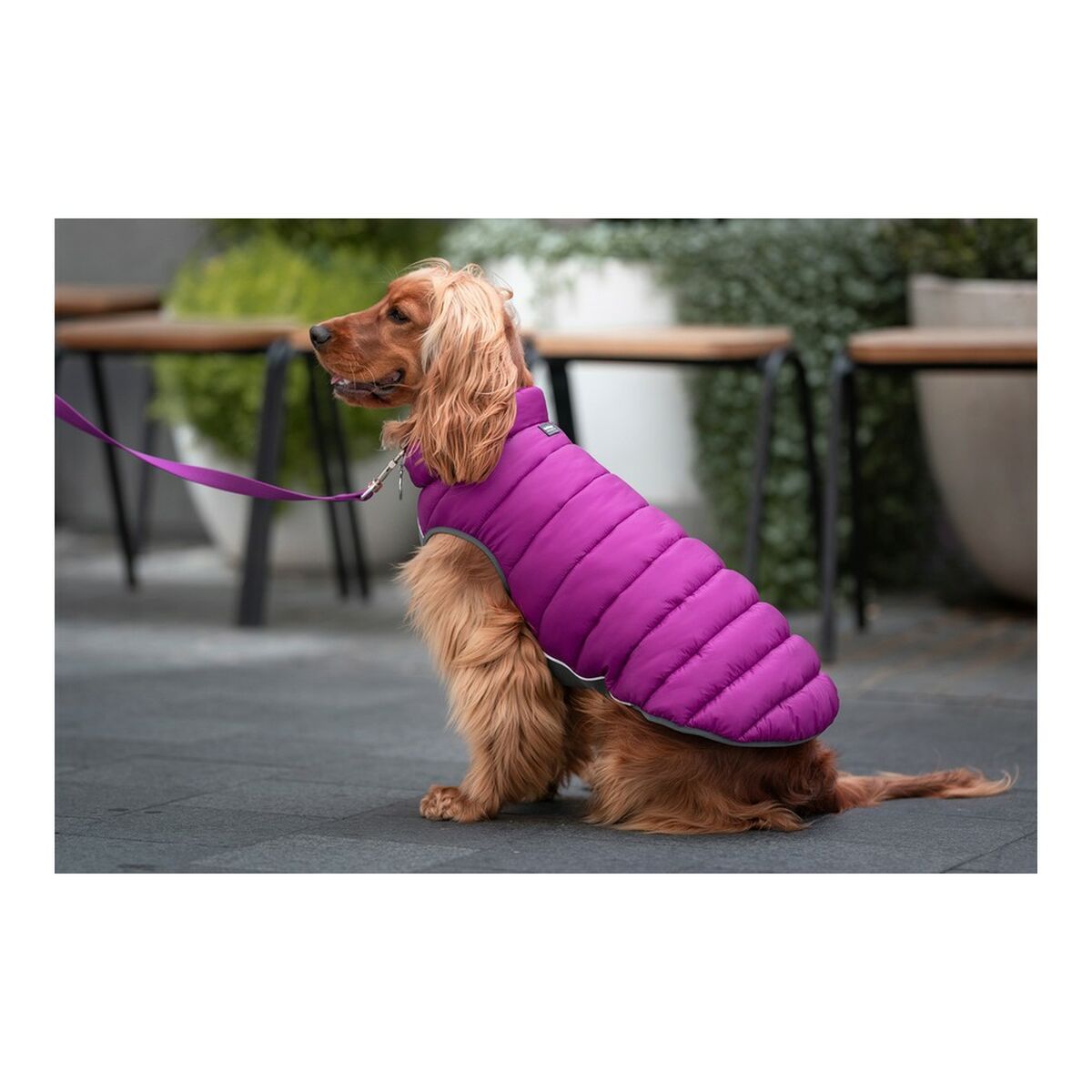 Dog Coat Red Dingo Puffer Pink/Purple 40 cm Red Dingo