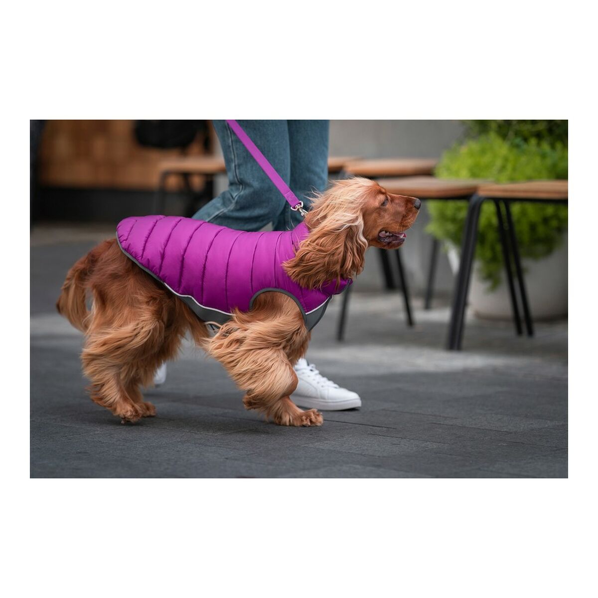 Dog Coat Red Dingo Puffer Pink/Purple 40 cm Red Dingo